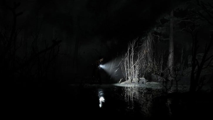 Silver Pines Steam Key screenshot from the video game thumbnail 9