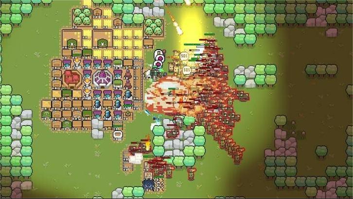 Border Pioneer + Stray Path image