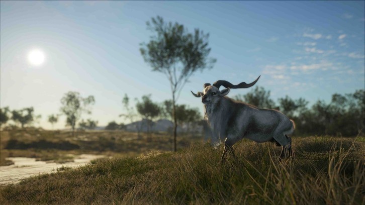 theHunter: Call of the Wild - Emerald Coast Australia image