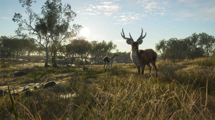 theHunter: Call of the Wild - Emerald Coast Australia image
