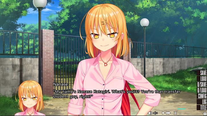 NUKITASHI image