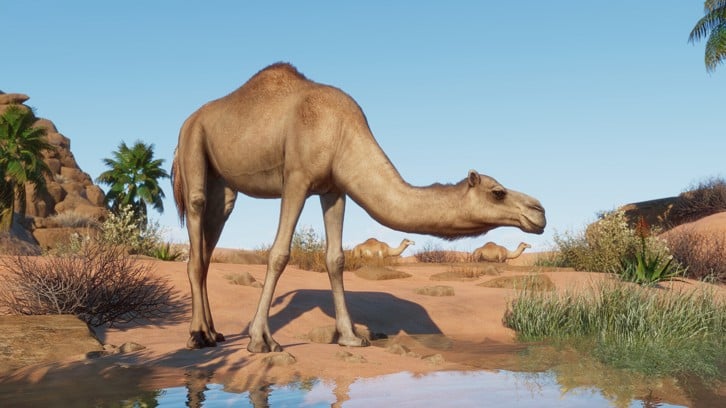Planet Zoo: Arid Animal Pack image