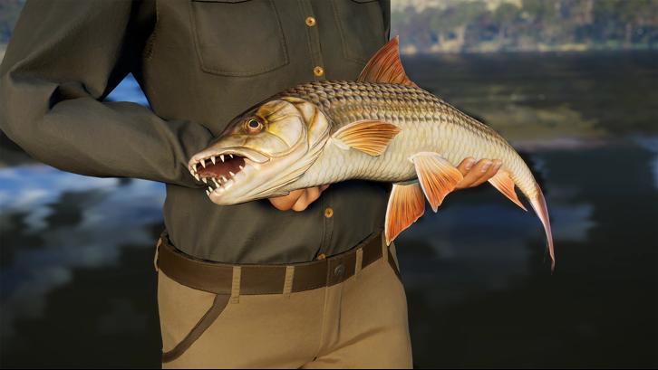 Call of the Wild: The Angler™ - South Africa Reserve image