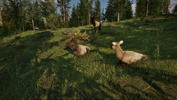 Ranger’s Path: National Park Simulator Steam Key screenshot from the video game thumbnail 7