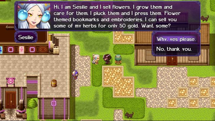 The Black Knight Chronicles - The Widow without Time image