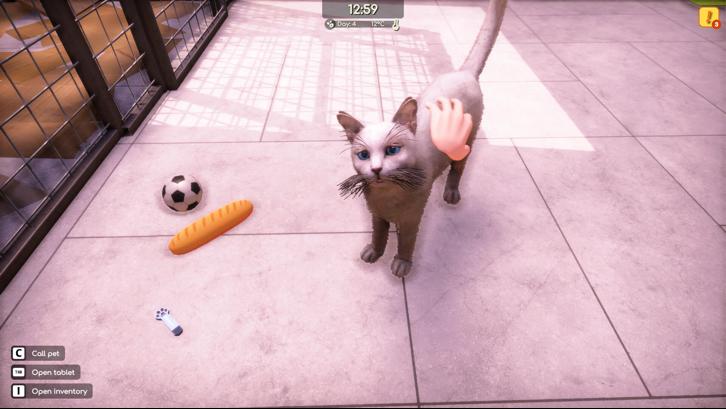 Animal Shelter 2 image