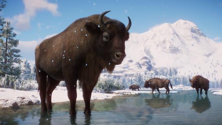 Planet Zoo: Eurasia Animal Pack image