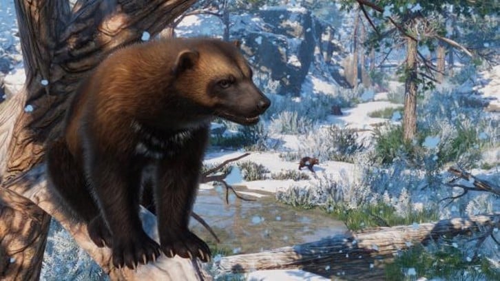 Planet Zoo: Eurasia Animal Pack image