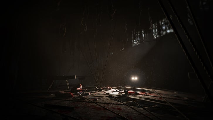 Outlast: Whistleblower DLC image