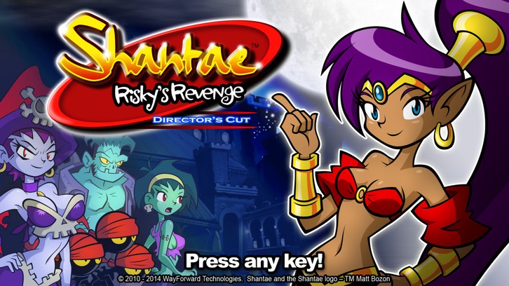 Shantae: Risky's Revenge - Director's Cut image