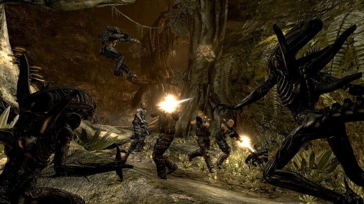 Aliens VS Predator Collection image