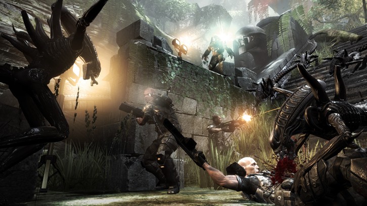 Aliens VS Predator Collection image