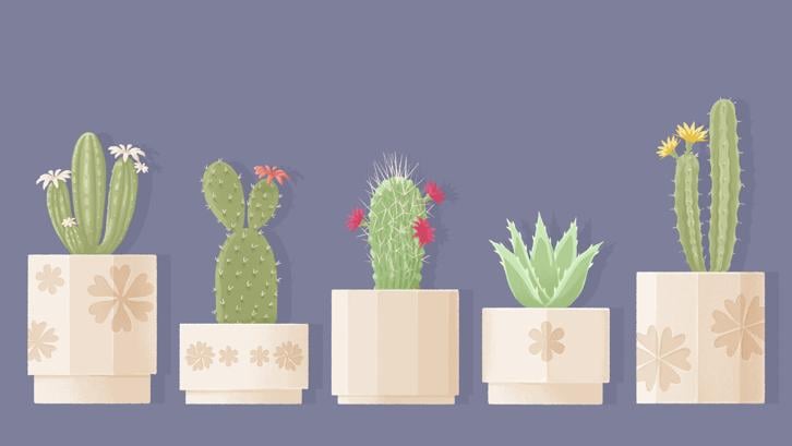 A Little to the Left: Seeing Stars image