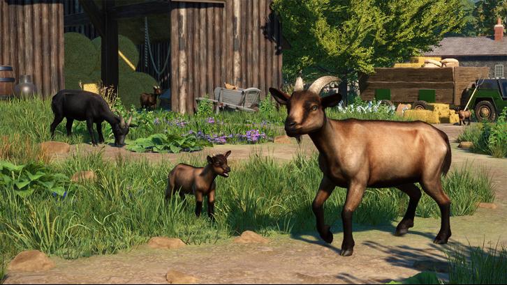 Planet Zoo: Barnyard Animal Pack image