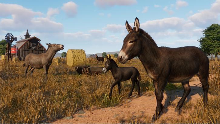 Planet Zoo: Barnyard Animal Pack image