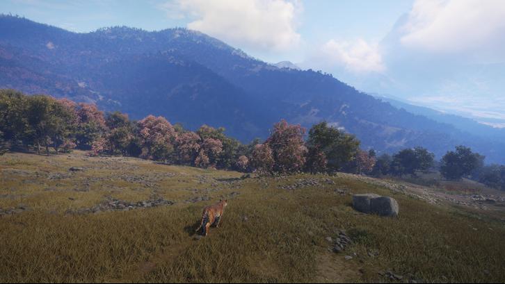 theHunter: Call of the Wild™ - Sundarpatan Nepal Hunting Reserve image