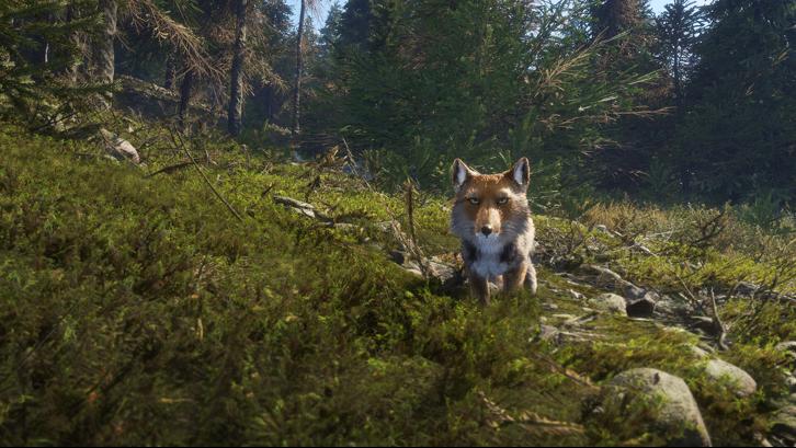 theHunter: Call of the Wild™ - Sundarpatan Nepal Hunting Reserve image