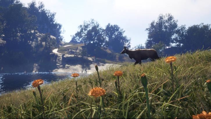 theHunter: Call of the Wild™ - Sundarpatan Nepal Hunting Reserve image