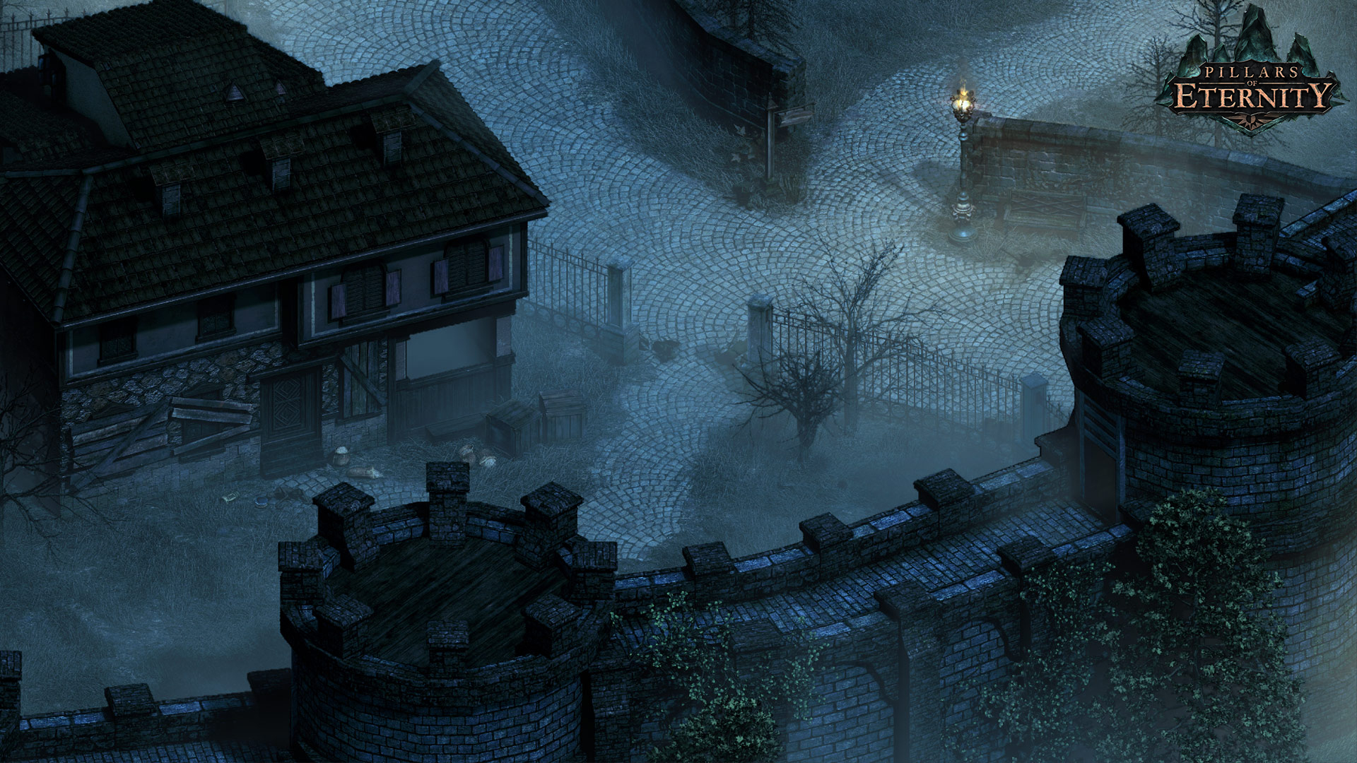 Pillars of Eternity - Hero Edition image