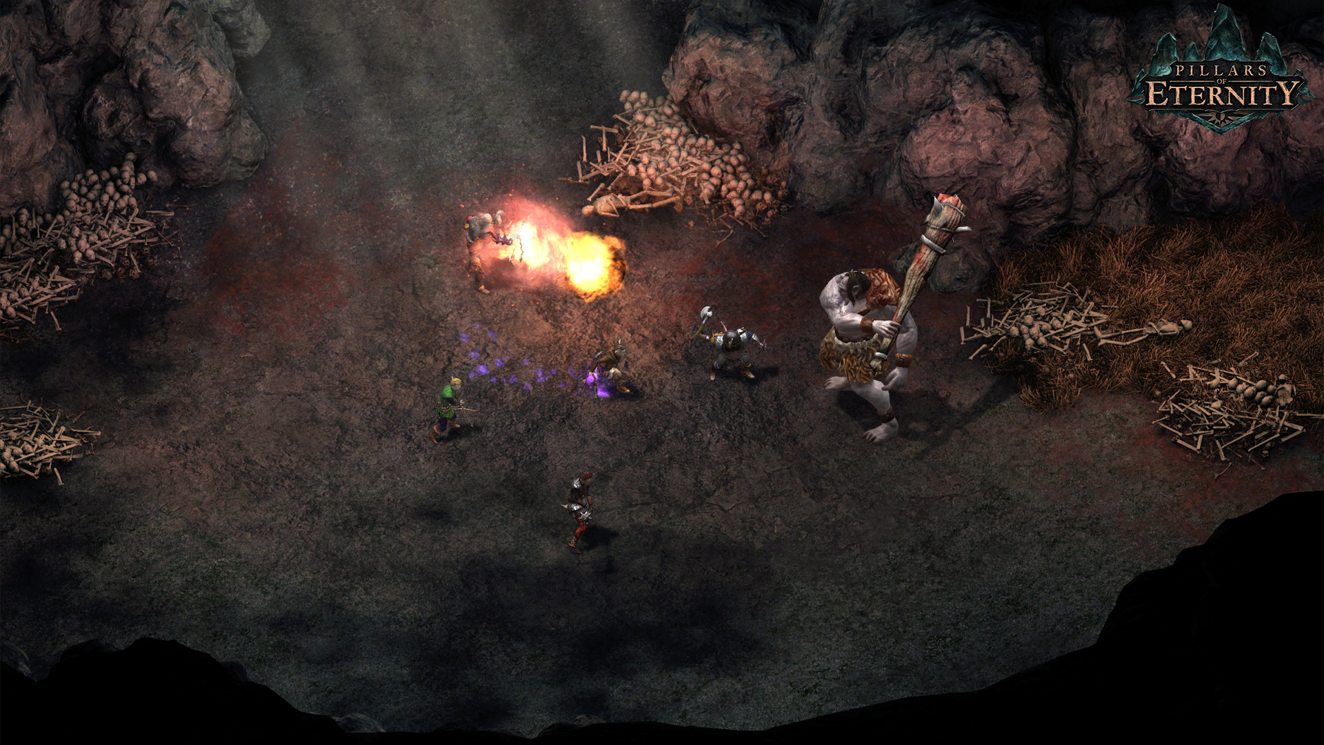 Pillars of Eternity - Hero Edition image