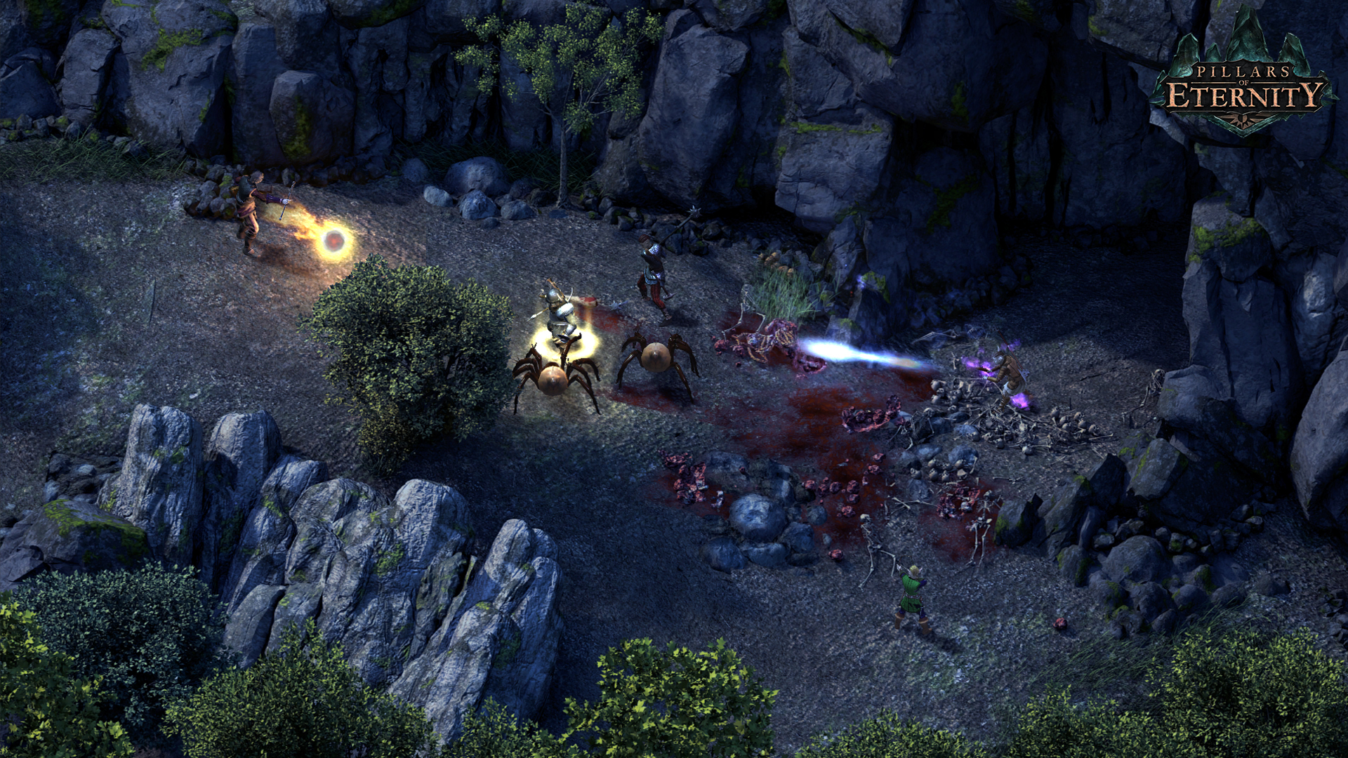 Pillars of Eternity - Hero Edition image