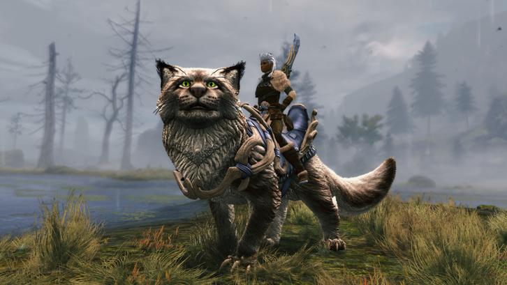 Guild Wars 2 - Janthir Wilds - Expansion Steam Key screenshot from the video game thumbnail 5
