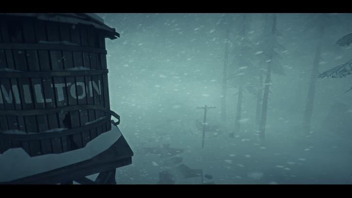 The Long Dark: Survival Edition image