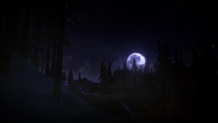 The Long Dark: Survival Edition image