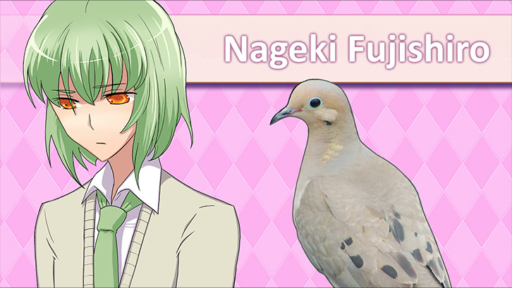 Hatoful Boyfriend image