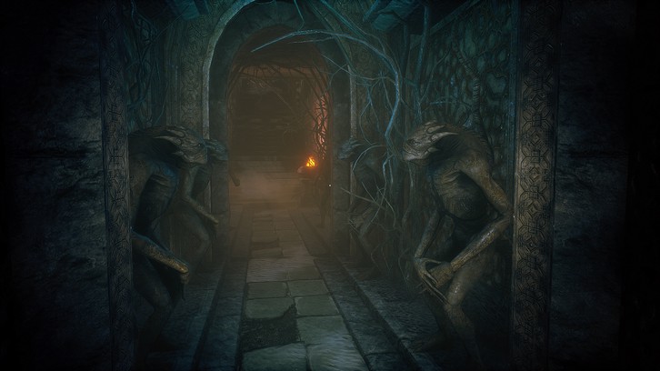 Conarium image