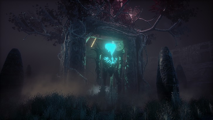 Conarium image