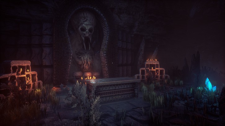 Conarium image