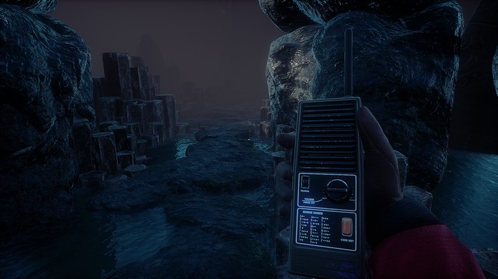 Conarium image