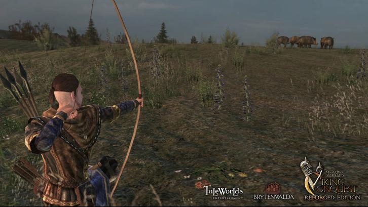 Mount & Blade: Warband - Viking Conquest image