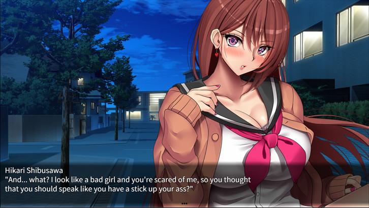 Succubers! Dark Covenant image