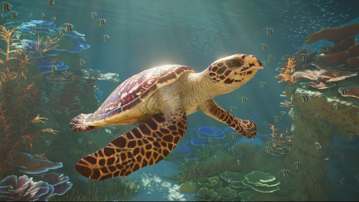 Planet Zoo 2: Deluxe Edition Steam Key screenshot from the video game thumbnail 3