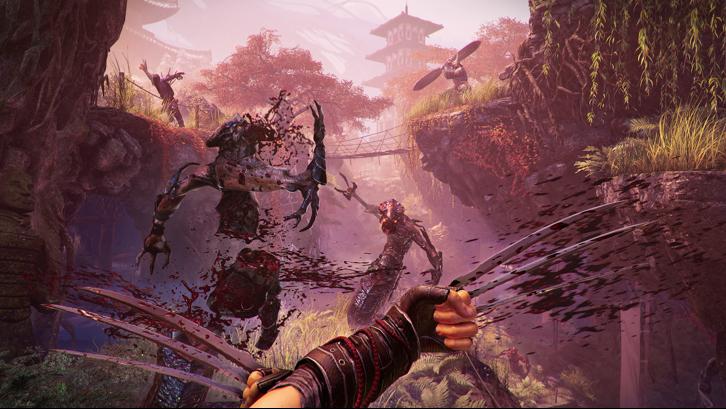 Shadow Warrior 2 image