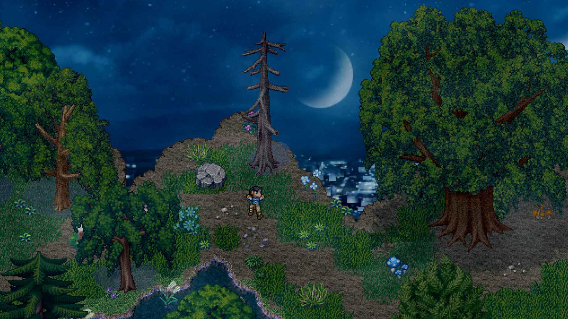 Finding Paradise image