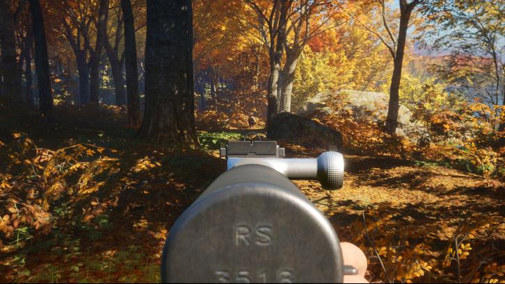 theHunter: Call of the Wild™ - Rapid Hunt Rifle Pack image