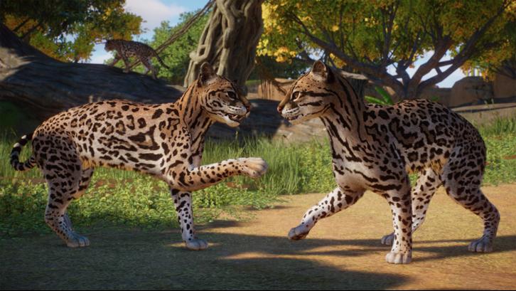 Planet Zoo: Americas Animal Pack image