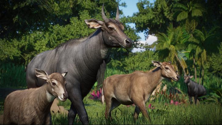 Planet Zoo: Asia Animal Pack image