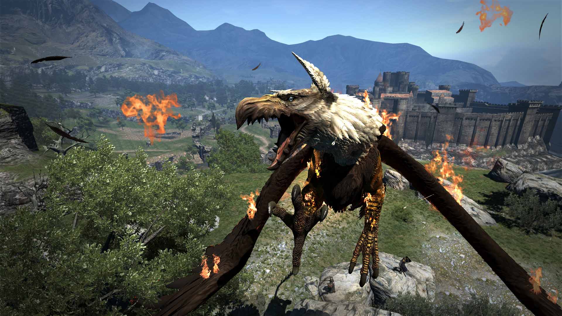 Dragon's Dogma: Dark Arisen image