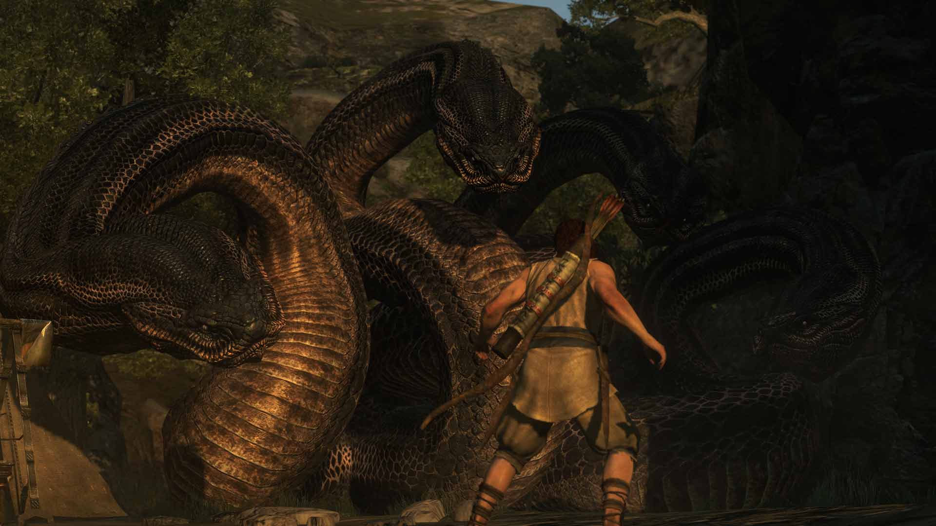 Dragon's Dogma: Dark Arisen image