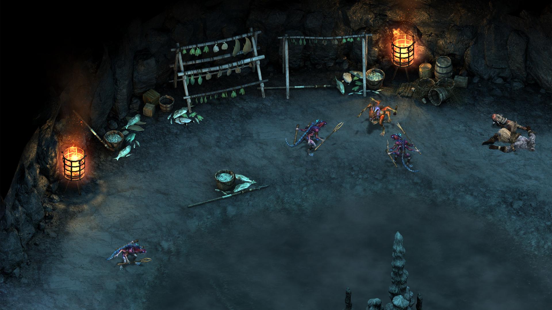 Pillars of Eternity - The White March Part I image
