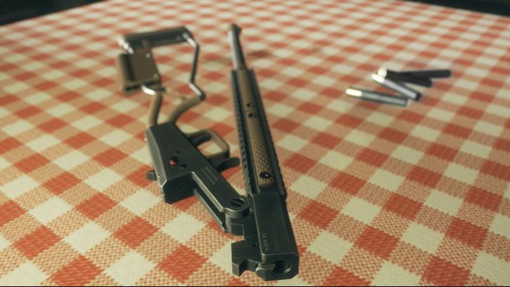 theHunter: Call of the Wild™ – Pump, Flip and Fire Pack image