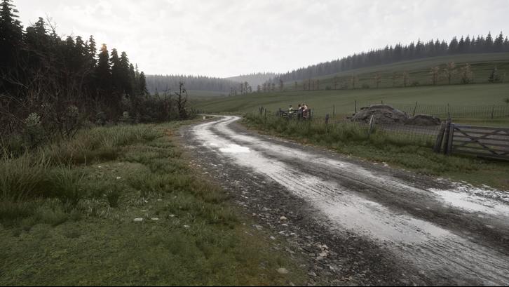 Assetto Corsa Rally image