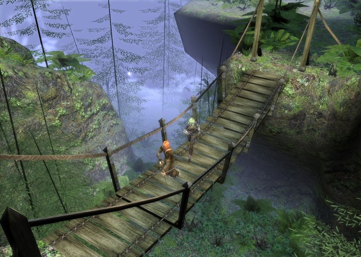 Dungeon Siege II image