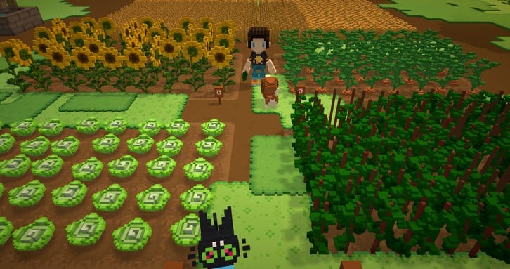 Staxel image