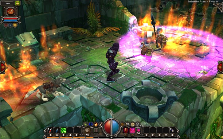 Torchlight image
