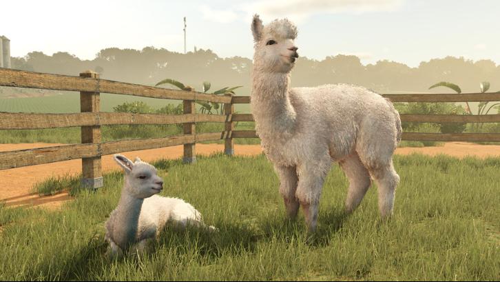 Farming Simulator 25 - Beans & Alpacas Expansion Steam Key screenshot from the video game thumbnail 5